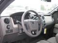 2010 Sterling Grey Metallic Ford F150 STX Regular Cab  photo #3