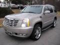 Quicksilver - Escalade AWD Photo No. 8