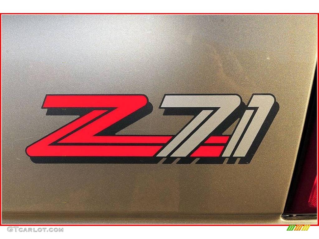 2000 Silverado 1500 Z71 Extended Cab 4x4 - Light Pewter Metallic / Medium Gray photo #10