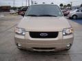Dune Pearl Metallic - Escape Hybrid 4WD Photo No. 3