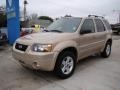 Dune Pearl Metallic - Escape Hybrid 4WD Photo No. 4
