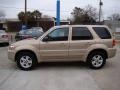 Dune Pearl Metallic - Escape Hybrid 4WD Photo No. 5