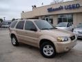 Dune Pearl Metallic - Escape Hybrid 4WD Photo No. 31