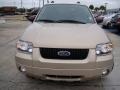 Dune Pearl Metallic - Escape Hybrid 4WD Photo No. 32