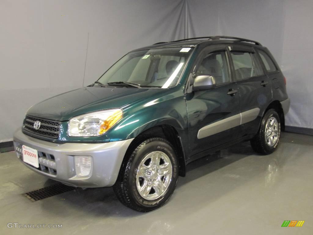 2002 RAV4 4WD - Rainforest Green Pearl / Gray photo #1