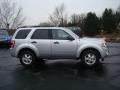 2010 Ingot Silver Metallic Ford Escape XLT V6  photo #2