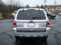 2010 Ingot Silver Metallic Ford Escape XLT V6  photo #4