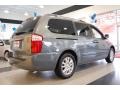 2009 Olive Gray Kia Sedona EX  photo #6