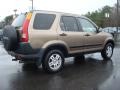 2002 Mojave Mist Metallic Honda CR-V EX 4WD  photo #6