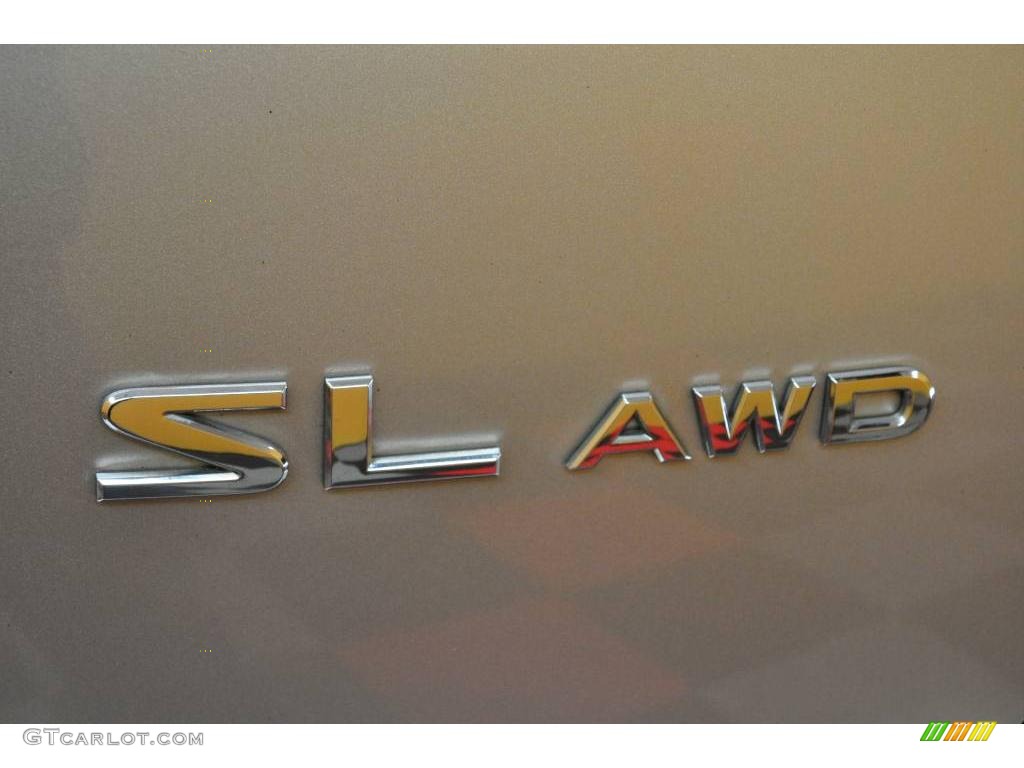 2003 Murano SL AWD - Sheer Silver Metallic / Charcoal photo #19