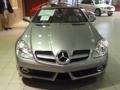 2010 Palladium Silver Metallic Mercedes-Benz SLK 300 Roadster  photo #2