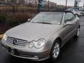 Pewter Metallic - CLK 320 Cabriolet Photo No. 2