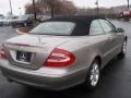 Pewter Metallic - CLK 320 Cabriolet Photo No. 15