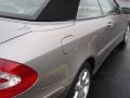 Pewter Metallic - CLK 320 Cabriolet Photo No. 17
