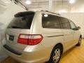 2007 Silver Pearl Metallic Honda Odyssey EX  photo #5