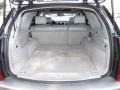 Light Platinum - SRX V6 Photo No. 19
