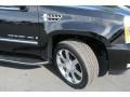 Black Raven - Escalade ESV AWD Photo No. 13