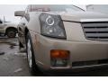 Cashmere - CTS Sedan Photo No. 3