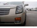 Cashmere - CTS Sedan Photo No. 4