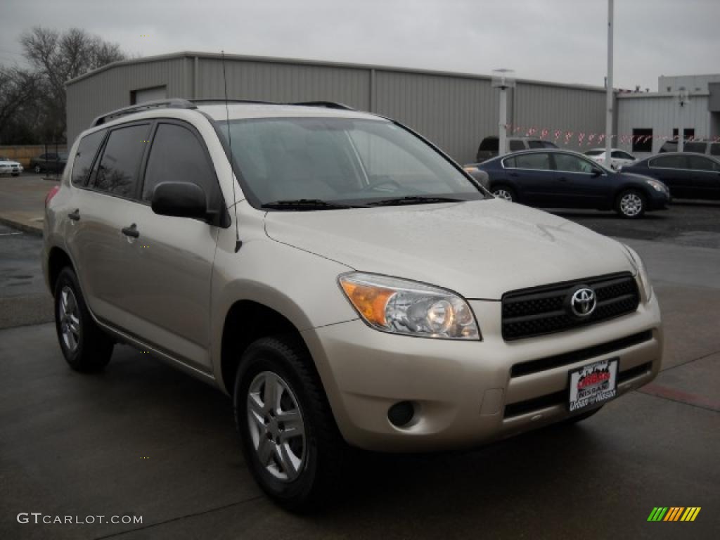 2006 RAV4  - Beige Metallic / Taupe photo #3