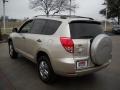Beige Metallic - RAV4  Photo No. 6