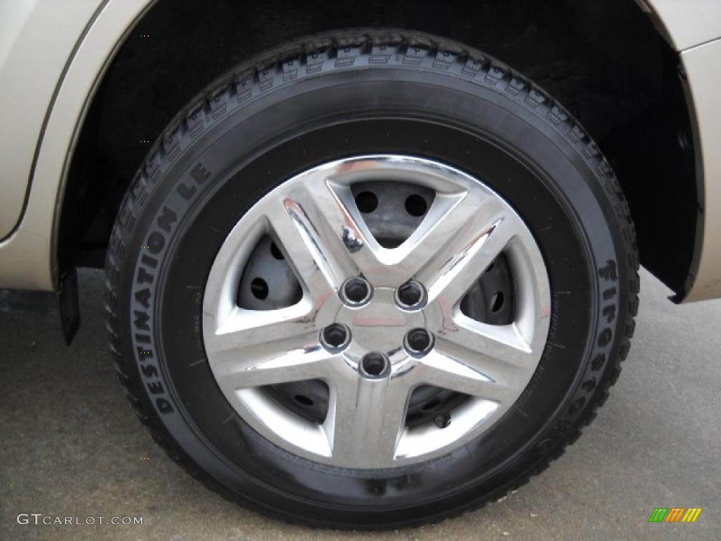 2006 RAV4  - Beige Metallic / Taupe photo #7