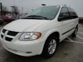 Stone White - Caravan SXT Photo No. 7