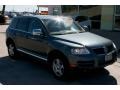 Offroad Grey Metallic - Touareg V6 Photo No. 14