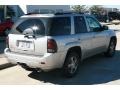 2007 Moondust Metallic Chevrolet TrailBlazer LT  photo #10