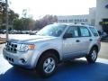 2010 Ingot Silver Metallic Ford Escape XLS  photo #1