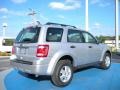 2010 Ingot Silver Metallic Ford Escape XLS  photo #3