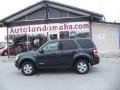 2008 Black Pearl Slate Metallic Ford Escape XLT V6 4WD  photo #12