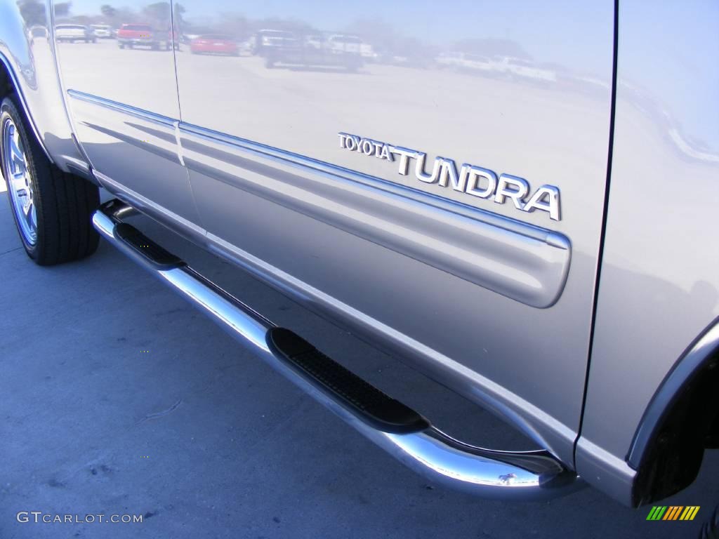 2006 Tundra SR5 Double Cab - Silver Sky Metallic / Dark Gray photo #19