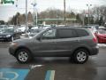 Steel Gray - Santa Fe GLS 4WD Photo No. 6