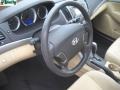 Powder White Pearl - Sonata GLS Photo No. 8