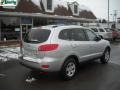 Bright Silver - Santa Fe GLS 4WD Photo No. 3