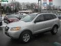 Bright Silver - Santa Fe GLS 4WD Photo No. 14