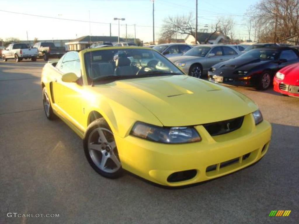 2003 Mustang Cobra Convertible - Zinc Yellow / Dark Charcoal photo #1