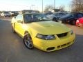 2003 Zinc Yellow Ford Mustang Cobra Convertible  photo #1