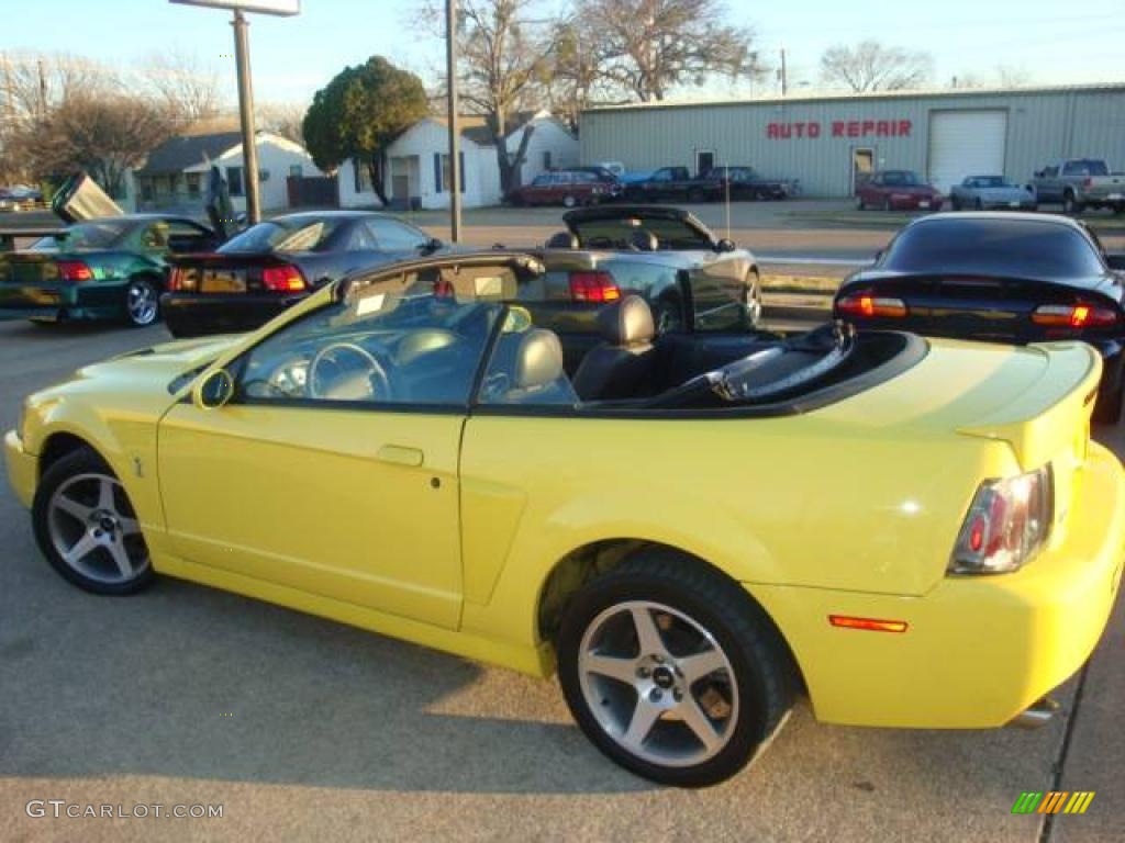 2003 Mustang Cobra Convertible - Zinc Yellow / Dark Charcoal photo #8