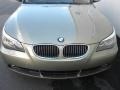 2007 Olivin Green Metallic BMW 5 Series 530i Sedan  photo #25