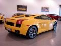 2006 Giallo Halys (Yellow) Lamborghini Gallardo Coupe  photo #19