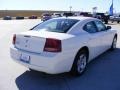 Stone White - Charger SE Photo No. 6