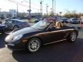 Macadamia Metallic - Boxster  Photo No. 10