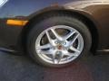 Macadamia Metallic - Boxster  Photo No. 24