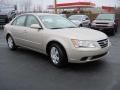 2009 Camel Pearl Hyundai Sonata GLS  photo #15