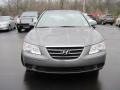 Willow Gray - Sonata GLS Photo No. 12
