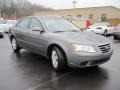 Willow Gray - Sonata GLS Photo No. 15