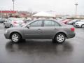 Willow Gray - Sonata GLS Photo No. 20