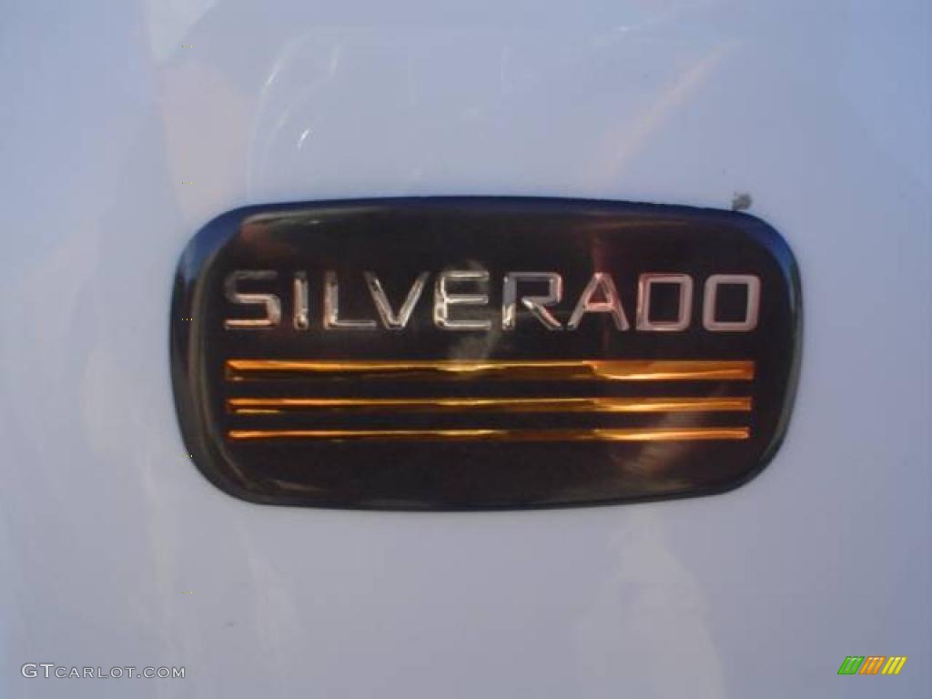 2004 Silverado 1500 Regular Cab - Summit White / Dark Charcoal photo #13